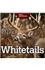 Whitetails 2012 Calendar