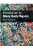 Introduction to Many-Body Physics