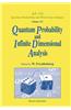 Quantum Probability and Infinite-Dimensional Analysis: Proceedings of the Conference