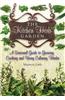 Kitchen Herb Garden