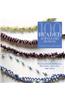 100 Beaded Jewellery Designs
