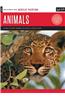 Acrylic: Animals: Learn to Paint Animals in Acrylic Step by Step - 40 Page Step-By-Step Painting Book