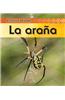 La Arana = Spider