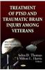 Treatment of PTSD & Traumatic Brain Injury Among Veterans