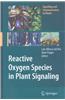Reactive Oxygen Species in Plant Signaling