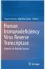 Human Immunodeficiency Virus Reverse Transcriptase