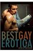 Best Gay Erotica 2015