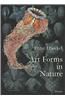 Art Forms in Nature: The Prints of Ernst Haeckel