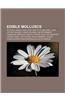 Edible Molluscs: Octopus, Squid, Shellfish, Nautilus, Abalone, Clam, Oyster, Mussel, Lobatus Gigas, Laevistrombus Canarium, Geoduck