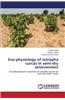 Eco-Physiology of Jatropha Curcas in Semi-Dry Environment