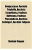 Onagraceae: Fuchsia Triphylla, Fuchsia Excorticata, Fuchsia Boliviana, Fuchsia Procumbens, Fuchsia Gehrigeri, Fuchsia Fulgens
