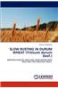 Slow Rusting in Durum Wheat (Triticum Durum Desf.)