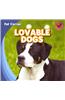 Lovable Dogs