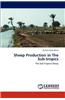 Sheep Production in the Sub-Tropics