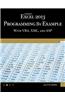 Microsoft Excel 2013 Programming by Example with VBA, XML, and ASP