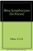 Beta-lymphocytes