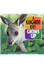 A Kangaroo Joey Grows Up