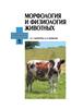Morfologiya I Fiziologiya Zhivotnyh