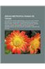 Areas Metropolitanas de Texas: Dallas-Fort Worth Metroplex, Dallas-Fort Worth Metroplex, Aeropuerto Internacional de Dallas-Fort Worth