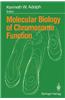 Molecular Biology of Chromosome Function