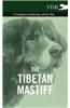 The Tibetan Mastiff - A Complete Anthology of the Dog