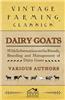 Dairy Goats - With Information on the Breeds, Breeding and Management of Dairy Goats