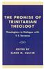 Promise of Trinitarian Theology