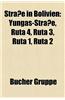 Strasse in Bolivien: Yungas-Strasse, Ruta 4, Ruta 3, Ruta 1, Ruta 2