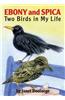 Ebony and Spica: Two Birds in My Life