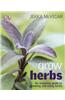 Grow Herbs