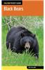 Black Bears