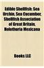 Edible Shellfish: Edible Crustaceans, Edible Molluscs, Octopus, Squid, Shrimp, Lobster, Shellfish, Nautilus, Abalone, Crayfish, Clam, Oy