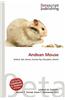 Andean Mouse