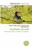 Bradfield's Hornbill