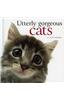 Utterly Gorgeous Cats