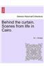 Behind the Curtain. Scenes from Life in Cairo.