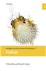 Ecological and Environmental Physiology of Fish