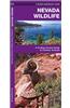 Nevada Wildlife: A Folding Pocket Guide to Familiar Species