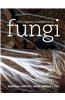 21st Century Guidebook to Fungi with CD-ROM