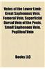 Veins of the Lower Limb: Great Saphenous Vein, Femoral Vein, Superficial Dorsal Vein of the Penis, Small Saphenous Vein, Popliteal Vein