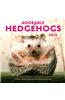 Adorable Hedgehogs 2016 Calendar