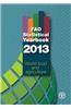 Fao Statistical Yearbook 2013: World Food and Agriculture