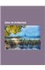 2004 in Romania: FC O Elul Gala I Season 2003-04, FC O Elul Gala I Season 2004-05, 2002-03 Divizia A, 2003-04 Divizia a