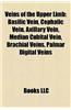 Veins of the Upper Limb: Basilic Vein, Cephalic Vein, Axillary Vein, Median Cubital Vein, Brachial Veins, Palmar Digital Veins