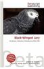 Black-Winged Lory