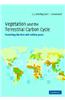 Vegetation and the Terrestrial Carbon Cycle: The First 400 Million Years