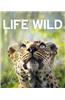 Life in the Wild
