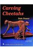 Carving the Cheetah