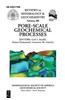 Pore Scale Geochemical Processes