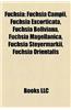 Fuchsia: Fuchsia Campii, Fuchsia Excorticata, Fuchsia Boliviana, Fuchsia Magellanica, Fuchsia Steyermarkii, Fuchsia Orientalis